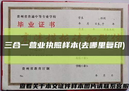 三合一营业执照样本(去哪里复印)缩略图