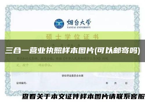 三合一营业执照样本图片(可以邮寄吗)缩略图