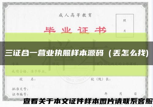 三证合一营业执照样本源码（丢怎么找)缩略图