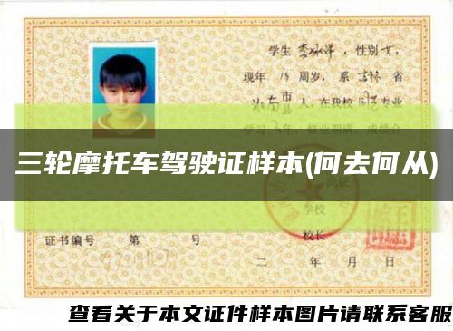 三轮摩托车驾驶证样本(何去何从)缩略图
