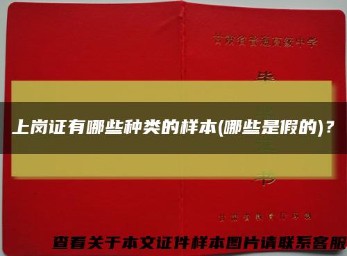 上岗证有哪些种类的样本(哪些是假的)？缩略图