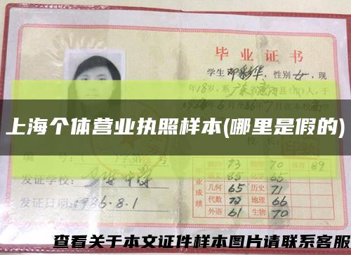 上海个体营业执照样本(哪里是假的)缩略图