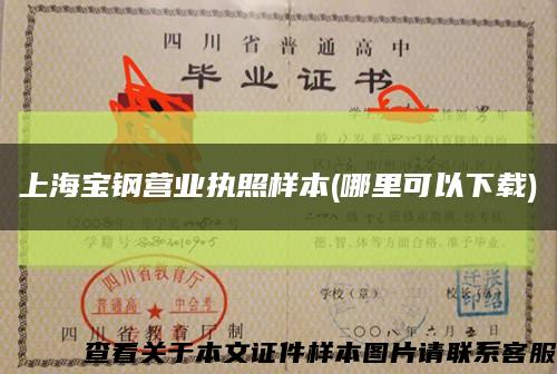 上海宝钢营业执照样本(哪里可以下载)缩略图