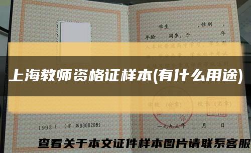上海教师资格证样本(有什么用途)缩略图