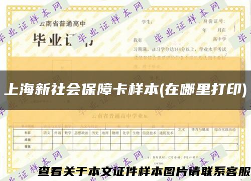 上海新社会保障卡样本(在哪里打印)缩略图