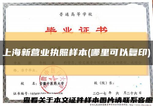 上海新营业执照样本(哪里可以复印)缩略图