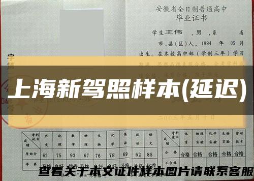 上海新驾照样本(延迟)缩略图