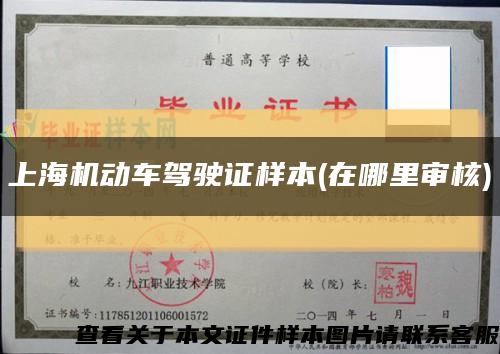 上海机动车驾驶证样本(在哪里审核)缩略图