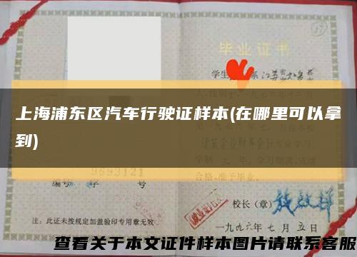 上海浦东区汽车行驶证样本(在哪里可以拿到)缩略图