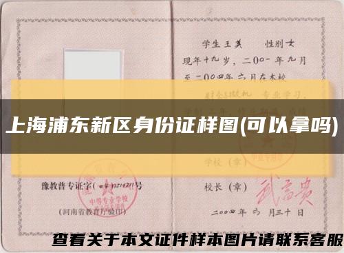 上海浦东新区身份证样图(可以拿吗)缩略图