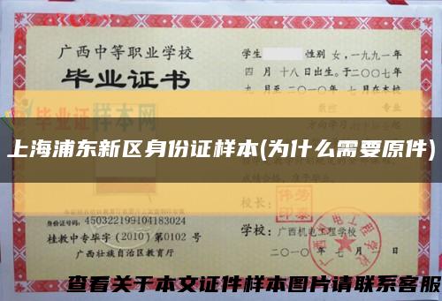上海浦东新区身份证样本(为什么需要原件)缩略图