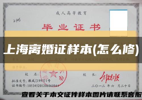 上海离婚证样本(怎么修)缩略图