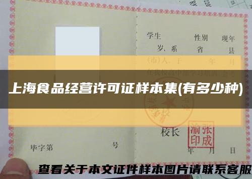 上海食品经营许可证样本集(有多少种)缩略图