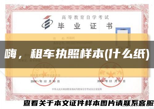 嗨，租车执照样本(什么纸)缩略图