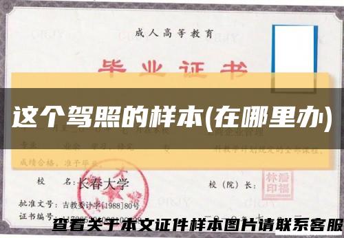 这个驾照的样本(在哪里办)缩略图