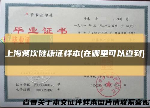 上海餐饮健康证样本(在哪里可以查到)缩略图