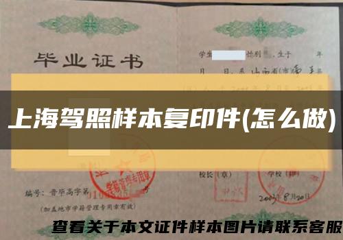 上海驾照样本复印件(怎么做)缩略图