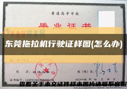 东莞拖拉机行驶证样图(怎么办)缩略图