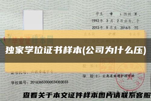 独家学位证书样本(公司为什么压)缩略图