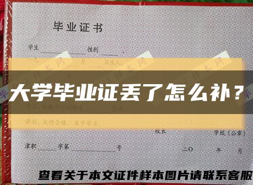 大学毕业证丢了怎么补？缩略图