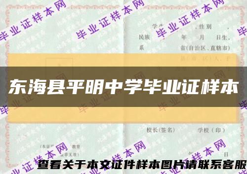 东海县平明中学毕业证样本缩略图
