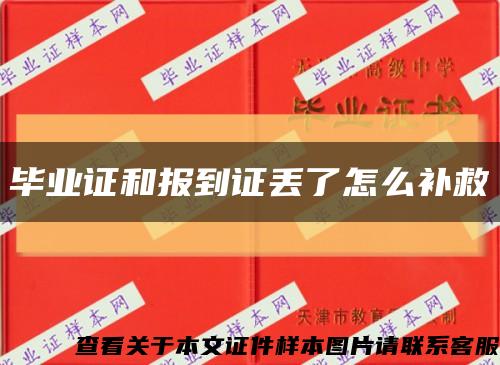 毕业证和报到证丢了怎么补救缩略图