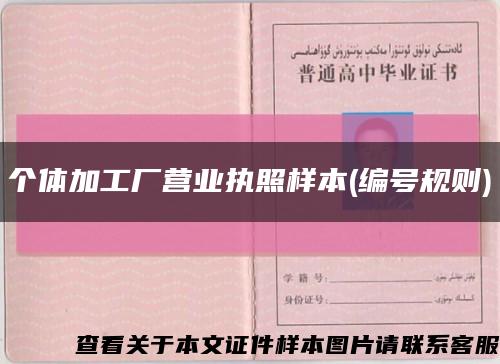 个体加工厂营业执照样本(编号规则)缩略图
