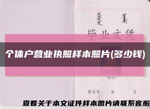 个体户营业执照样本照片(多少钱)缩略图