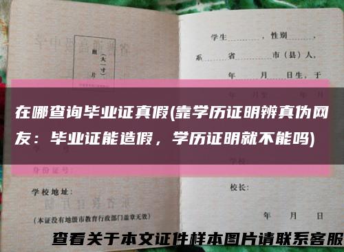 在哪查询毕业证真假(靠学历证明辨真伪网友：毕业证能造假，学历证明就不能吗)缩略图