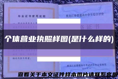 个体营业执照样图(是什么样的)缩略图