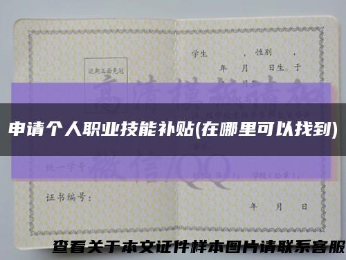 申请个人职业技能补贴(在哪里可以找到)缩略图