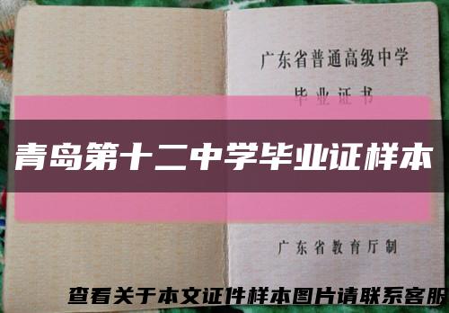 青岛第十二中学毕业证样本缩略图