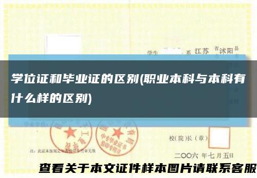 学位证和毕业证的区别(职业本科与本科有什么样的区别)缩略图