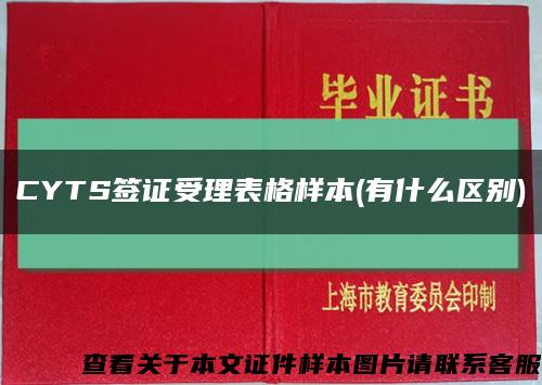 CYTS签证受理表格样本(有什么区别)缩略图