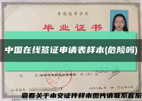 中国在线签证申请表样本(危险吗)缩略图
