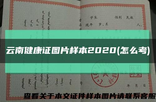 云南健康证图片样本2020(怎么考)缩略图