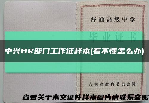 中兴HR部门工作证样本(看不懂怎么办)缩略图
