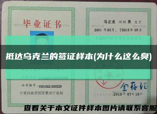 抵达乌克兰的签证样本(为什么这么臭)缩略图