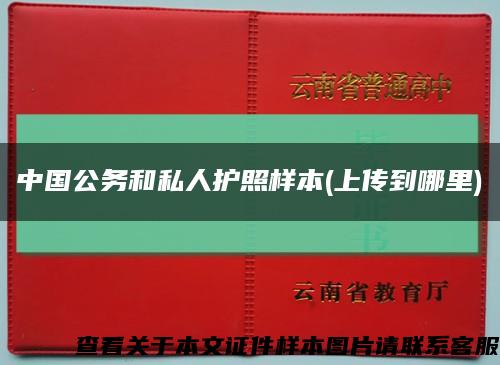 中国公务和私人护照样本(上传到哪里)缩略图