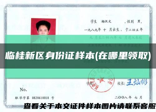临桂新区身份证样本(在哪里领取)缩略图