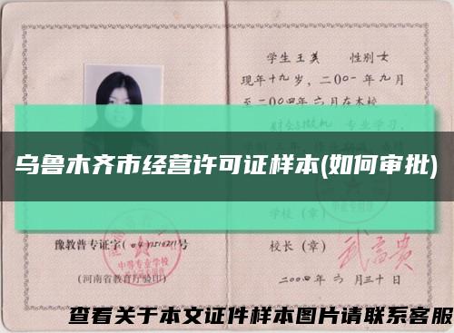 乌鲁木齐市经营许可证样本(如何审批)缩略图