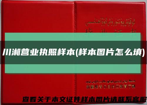 川湘营业执照样本(样本图片怎么填)缩略图