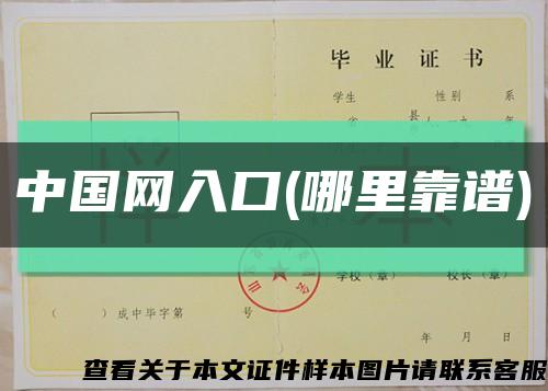 中国网入口(哪里靠谱)缩略图