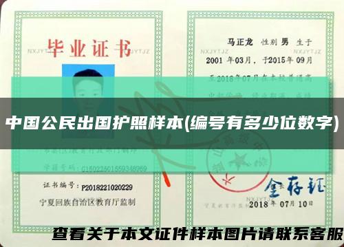 中国公民出国护照样本(编号有多少位数字)缩略图