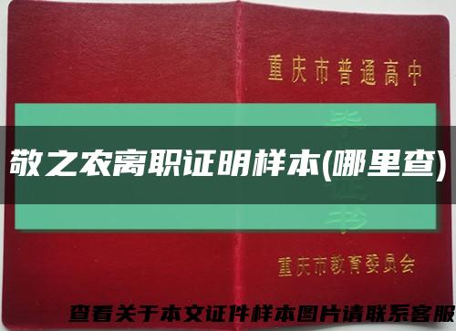 敬之农离职证明样本(哪里查)缩略图