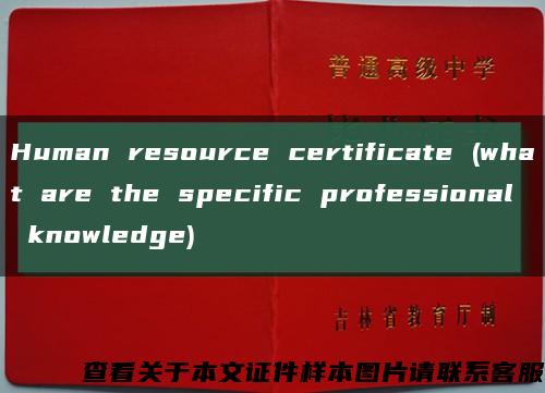Human resource certificate (what are the specific professional knowledge)缩略图