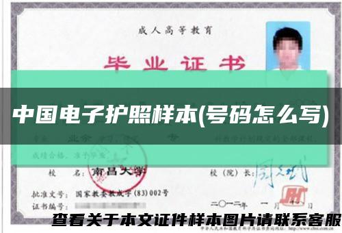 中国电子护照样本(号码怎么写)缩略图