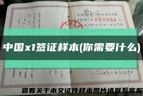 中国x1签证样本(你需要什么)缩略图