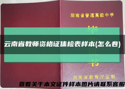云南省教师资格证体检表样本(怎么卷)缩略图