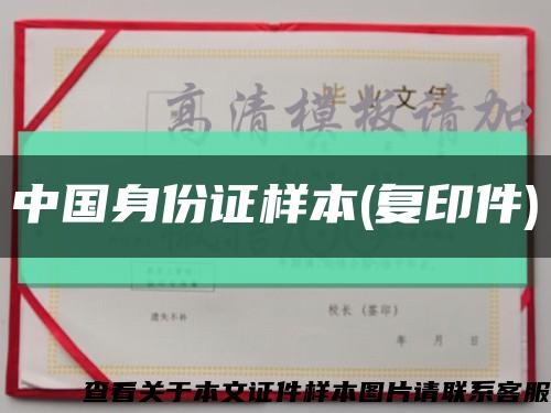 中国身份证样本(复印件)缩略图
